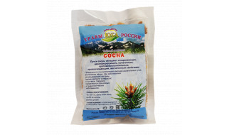 Сосна (почки)